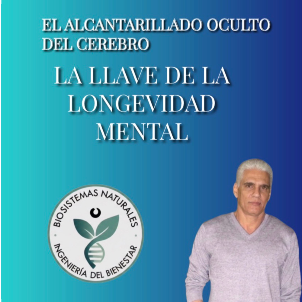 EL ALCANTARILLADO OCULTO DEL CEREBRO